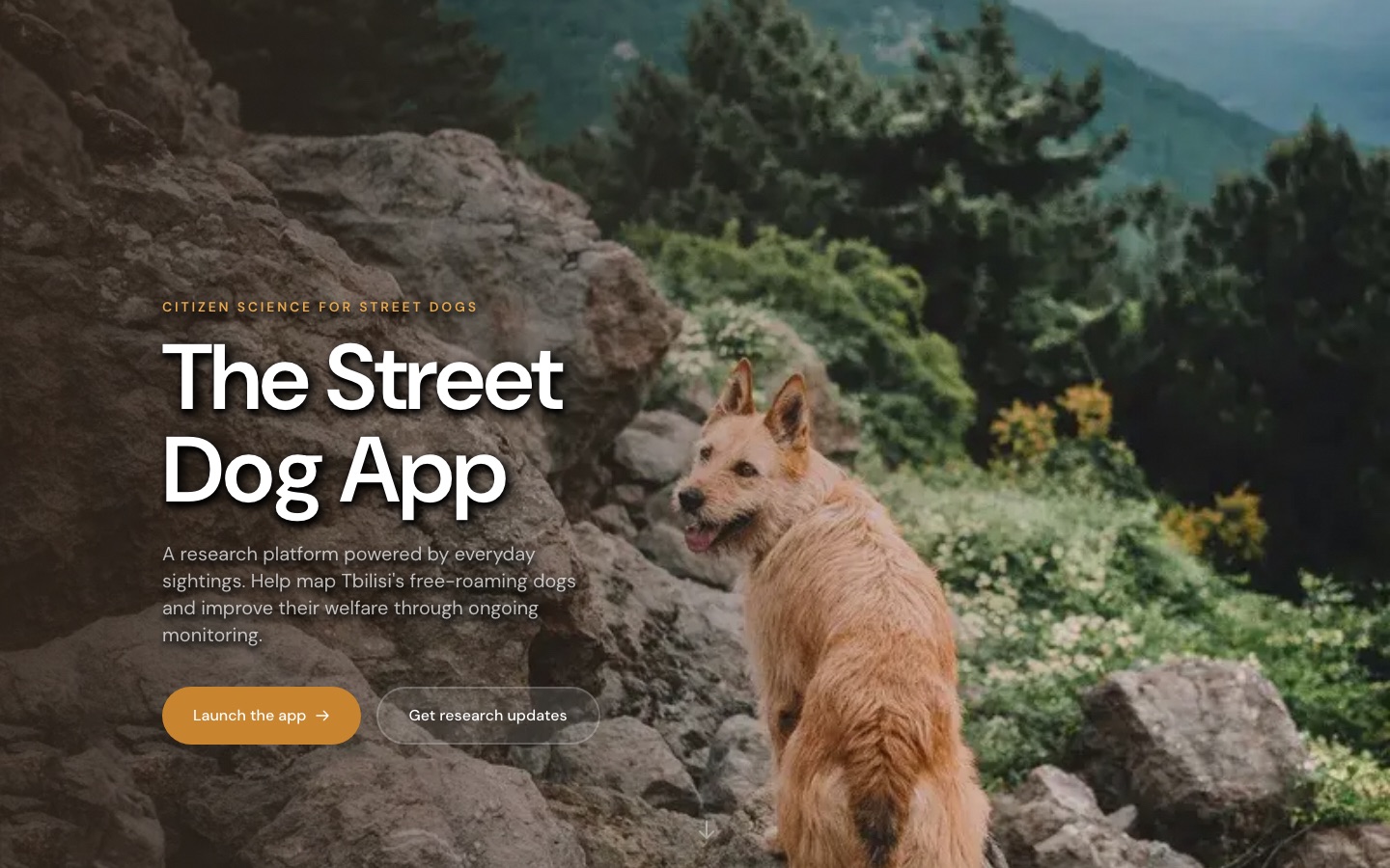 The Street Dog App citizen science platform